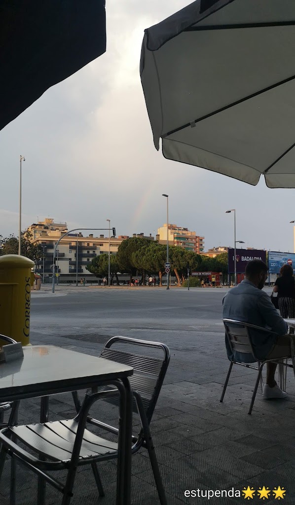 Bar La Rosada — Ambiente