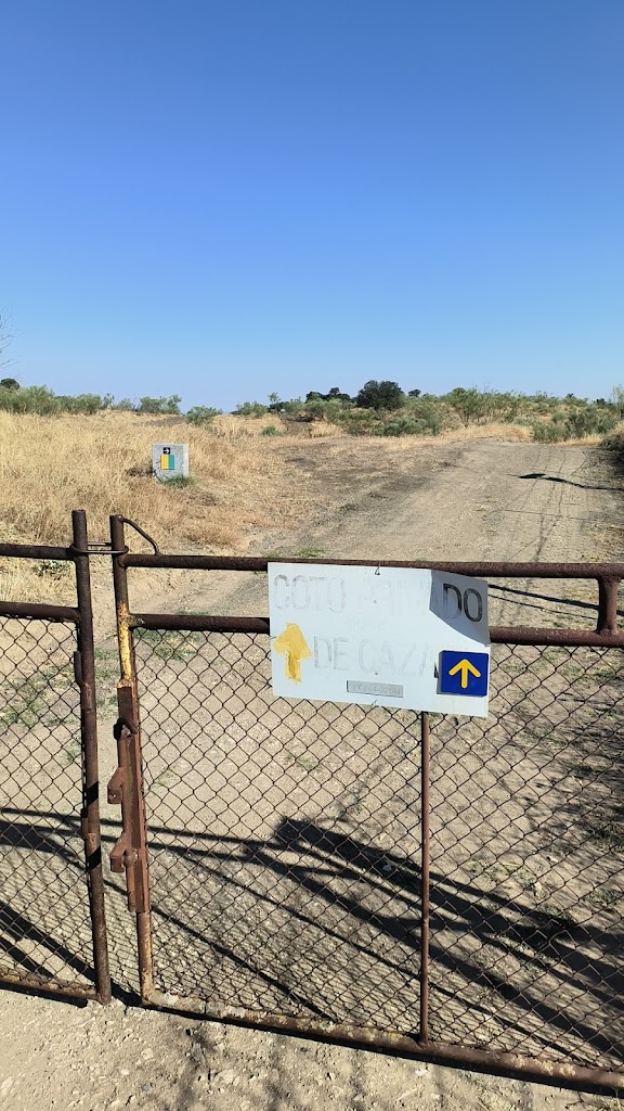 Via de la Plata (limite municipal de Monesterio)
