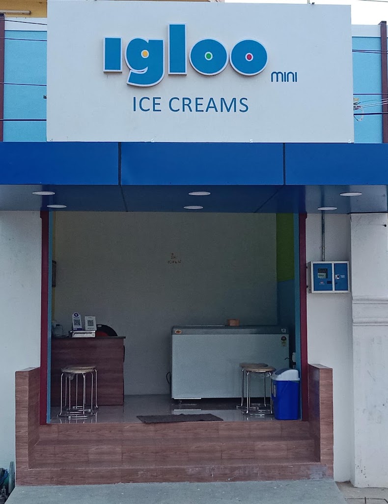 Igloo Ice Cream Mini