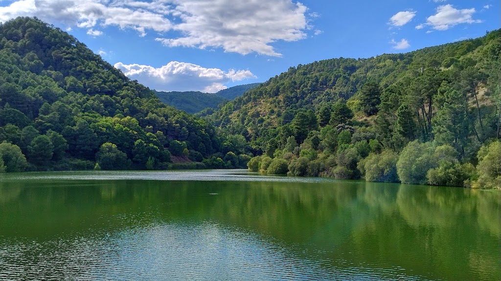 Presa Pajarero