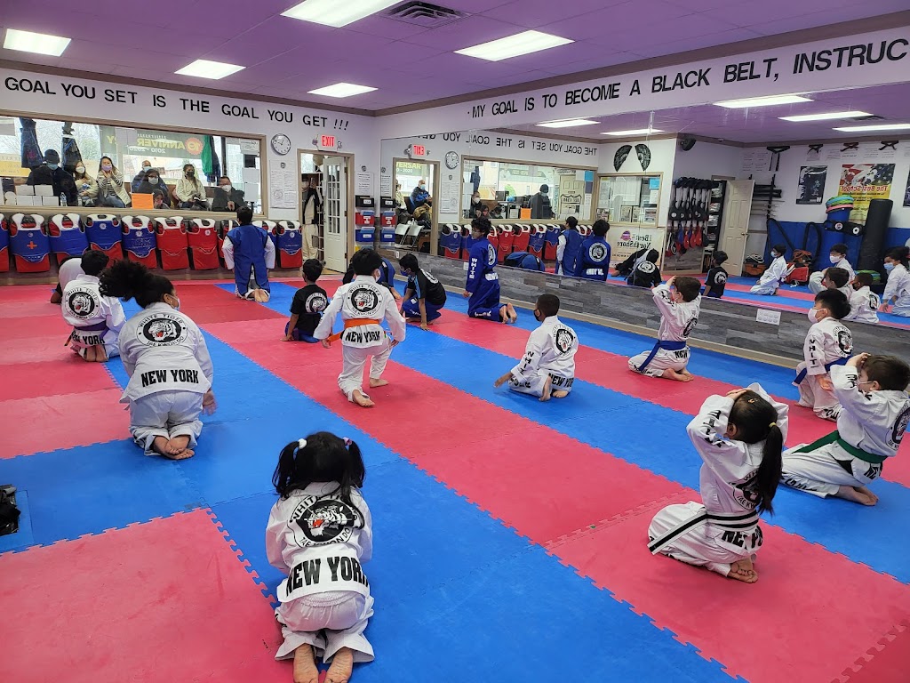  White Tiger Taekwondo | Taekwondo School in New Hyde Park, NY