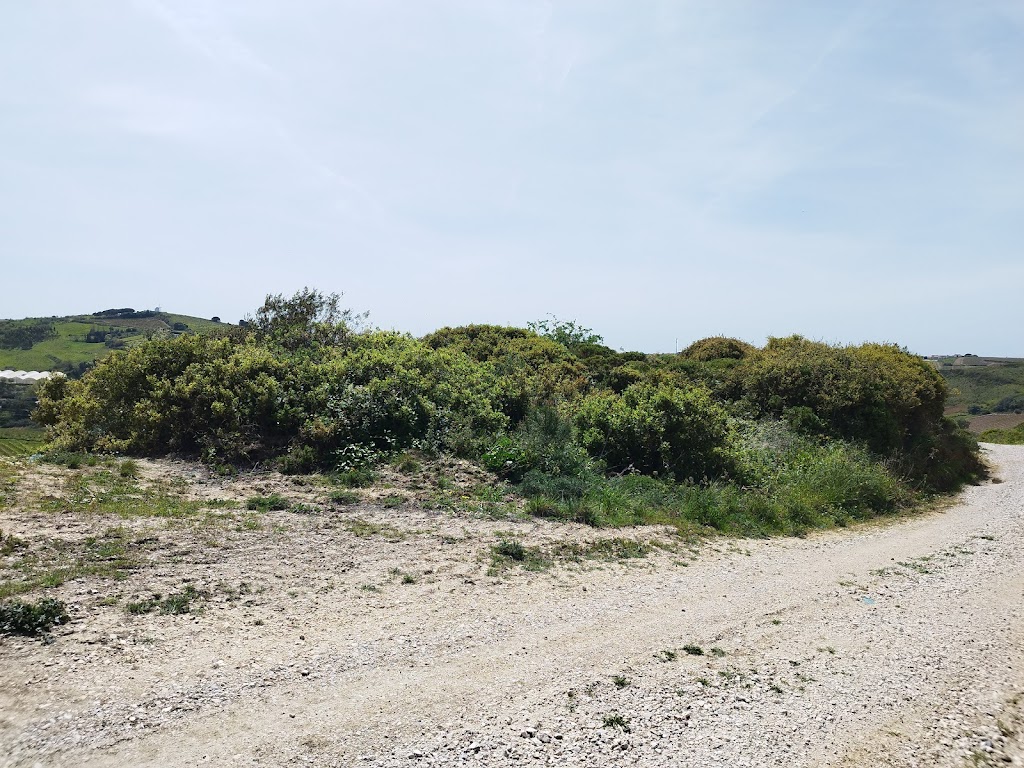 Reduto de Pedrulhos / Reduto do Pelicano (vestigios) - Obra no 133