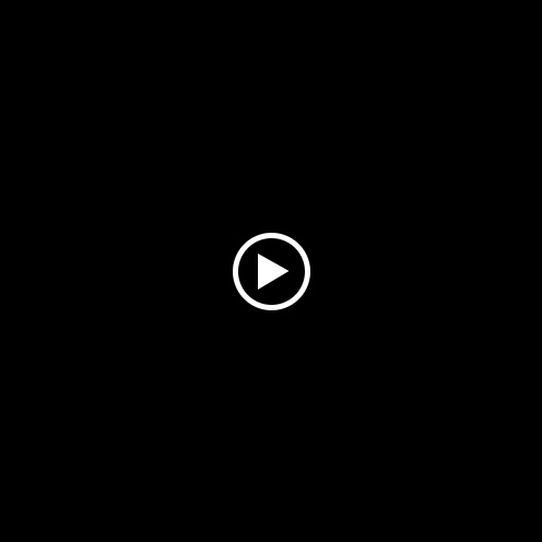 Animal Servmedic — Videos