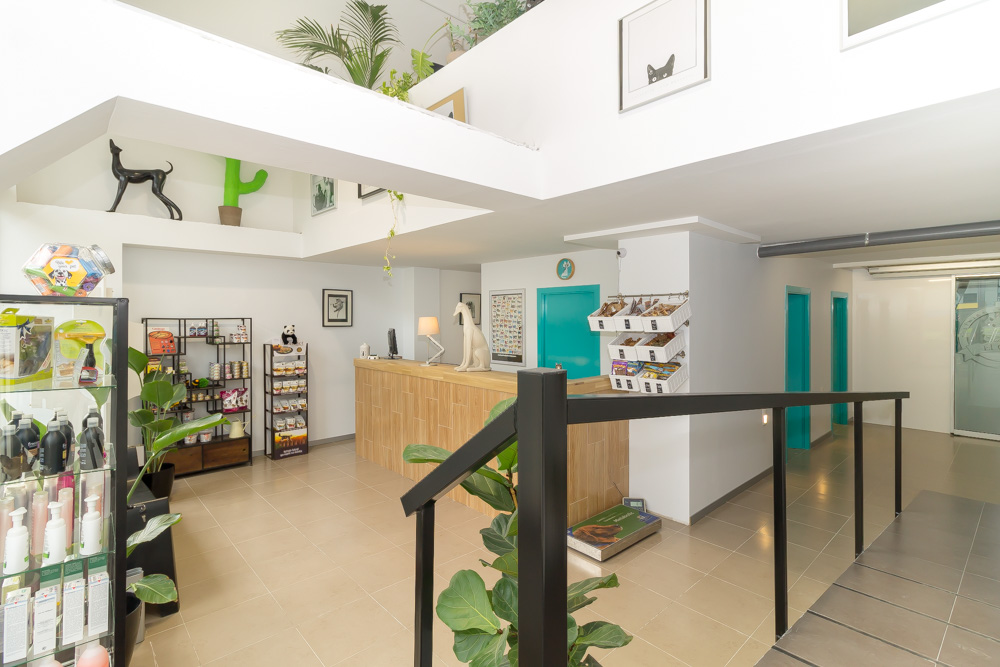 Clinica Veterinaria El Cau