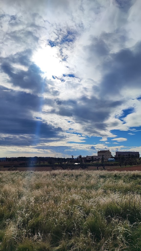 Sabadell Gent Gran Centre de Serveis — De los visitantes