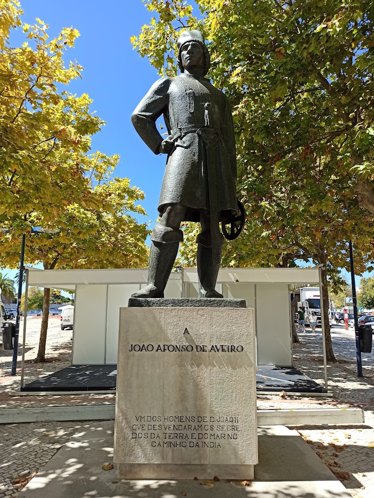Monumento a Joao Afonso de Aveiro