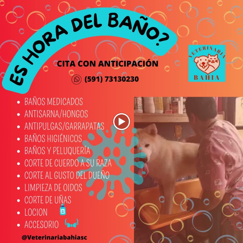 Vídeos