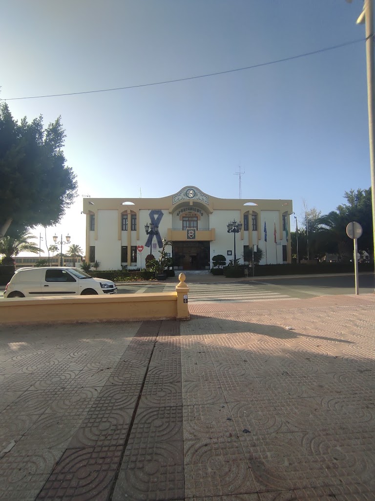 Ayuntamiento de Vicar