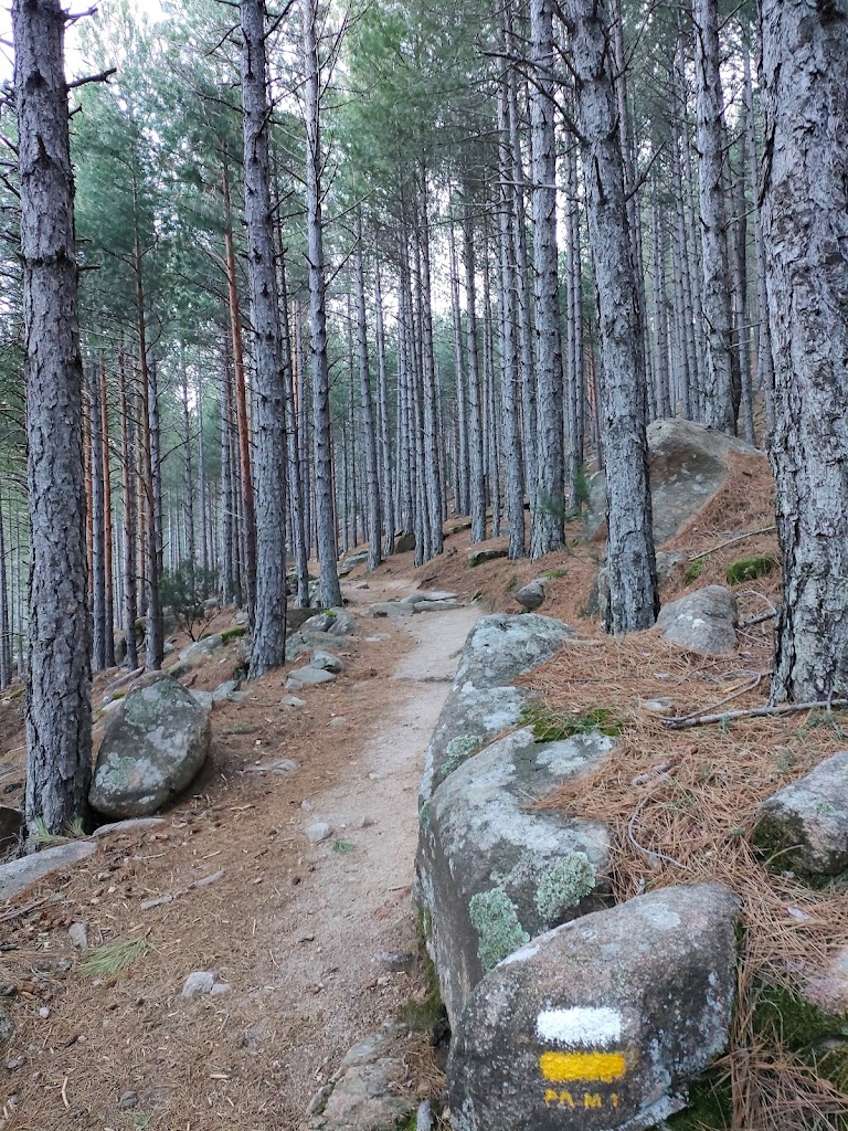 Collado Cabron