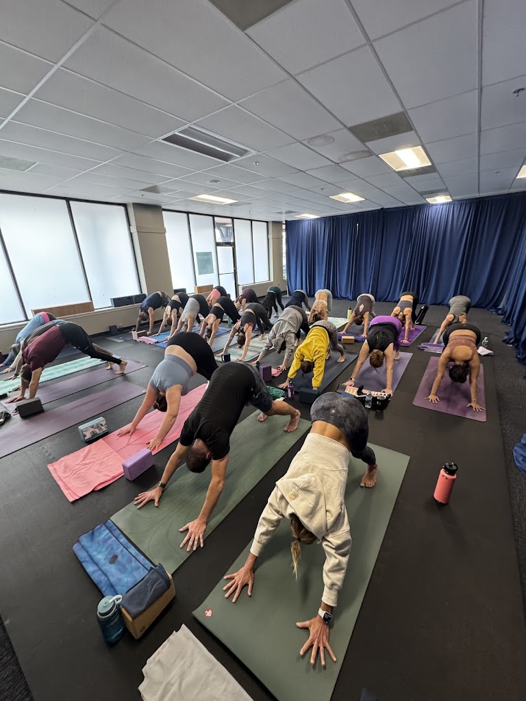  True North Power Yoga