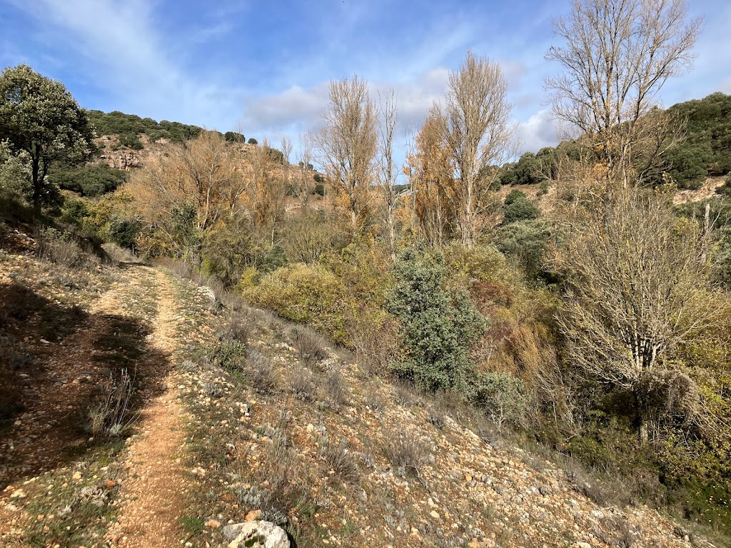 Ruta del Piscardano (hoces del Odra) por Congosto