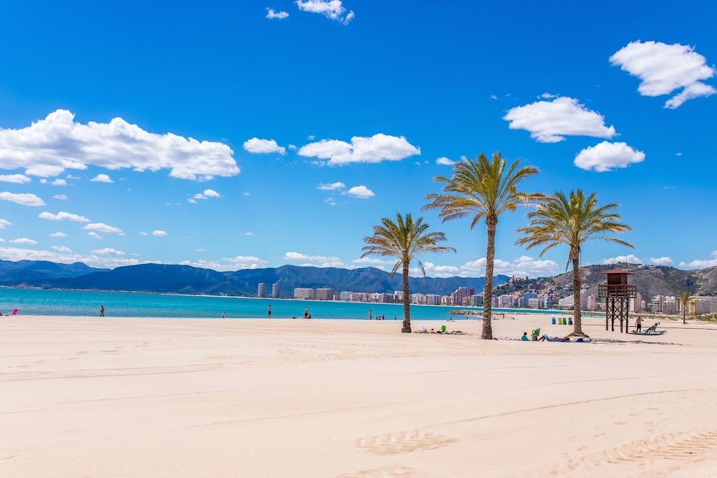 Oficina de Informacion Turistica TOURIST INFO