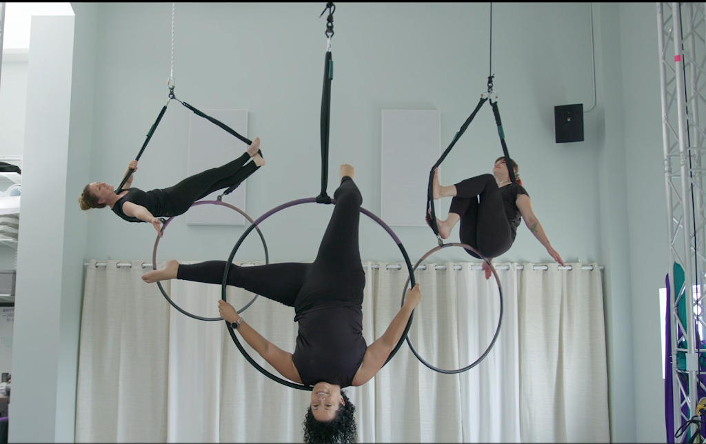  Aerial Fun & Fitness / Aerial Technique / Zina's Organics & Wellness