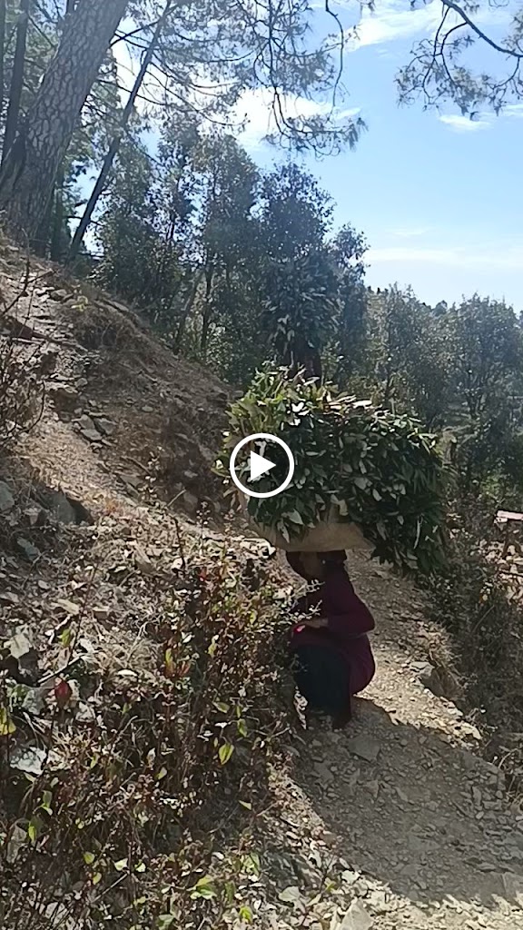Videos