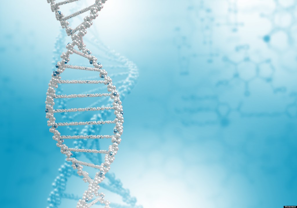 Instituto Nutrigenomica