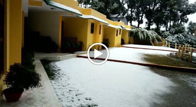 Videos