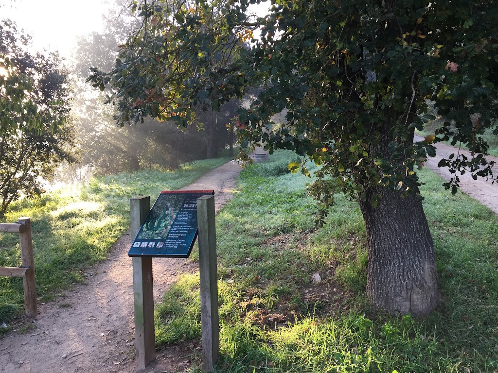 Cami Ral de Sant Antoni