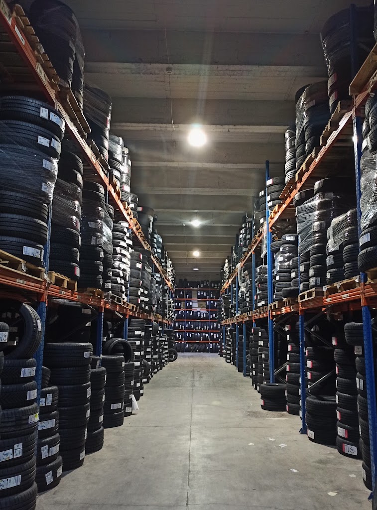 NT2 Neumaticos y Mantenimiento — Interior