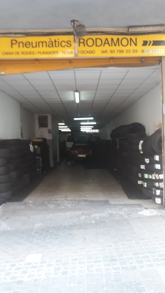 Neumaticos Rodamon