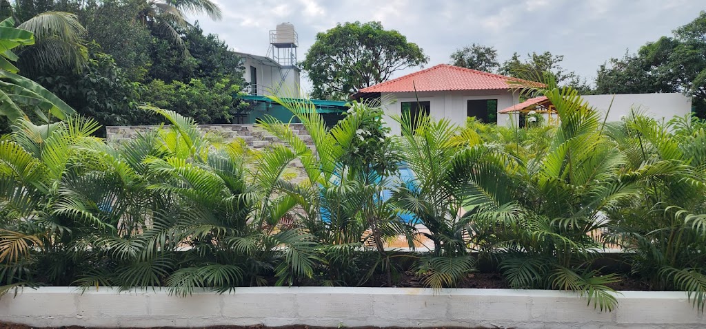 D N Resort