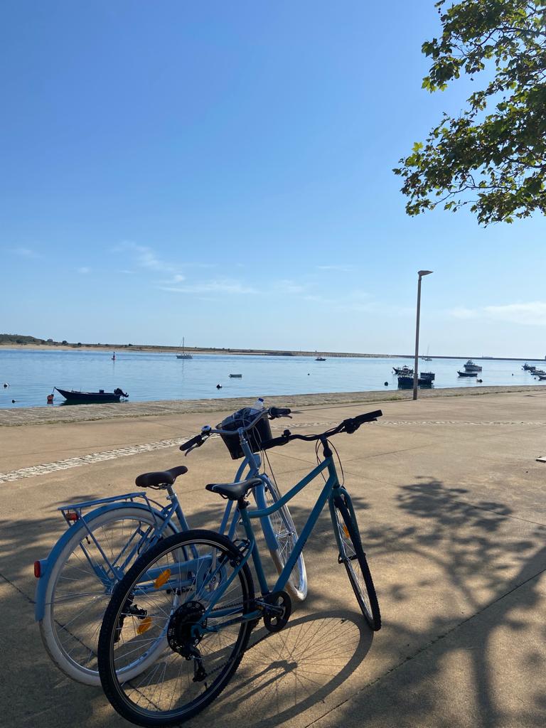 Wheel Wave - Porto Rent a Bike, Porto Rent a Ebike & Porto Tours em Porto