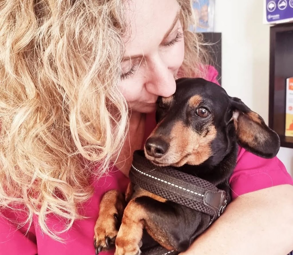 Clinica Veterinaria Zarpas y Bigotes — Perro