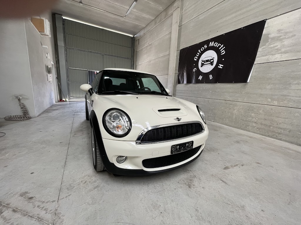 Autos Martin GMBH — Del propietario