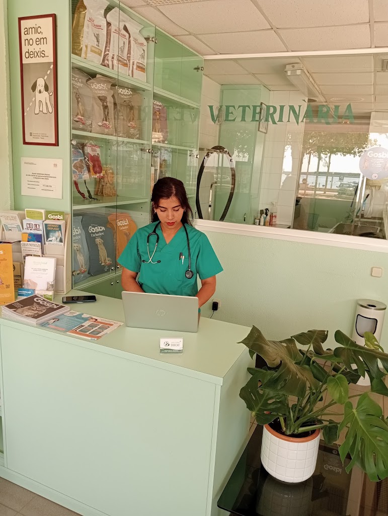 Centre Veterinari DogCat — Del propietario