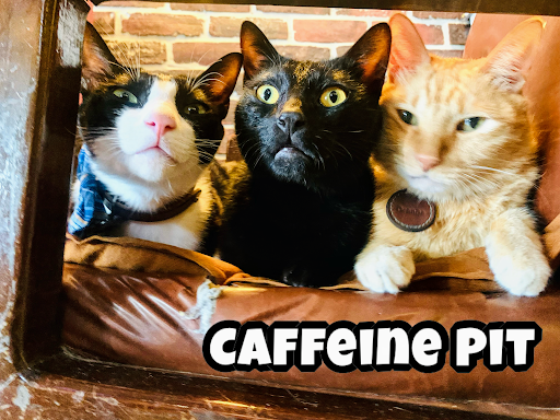 Caffeine Pit 咖啡因子 的照片