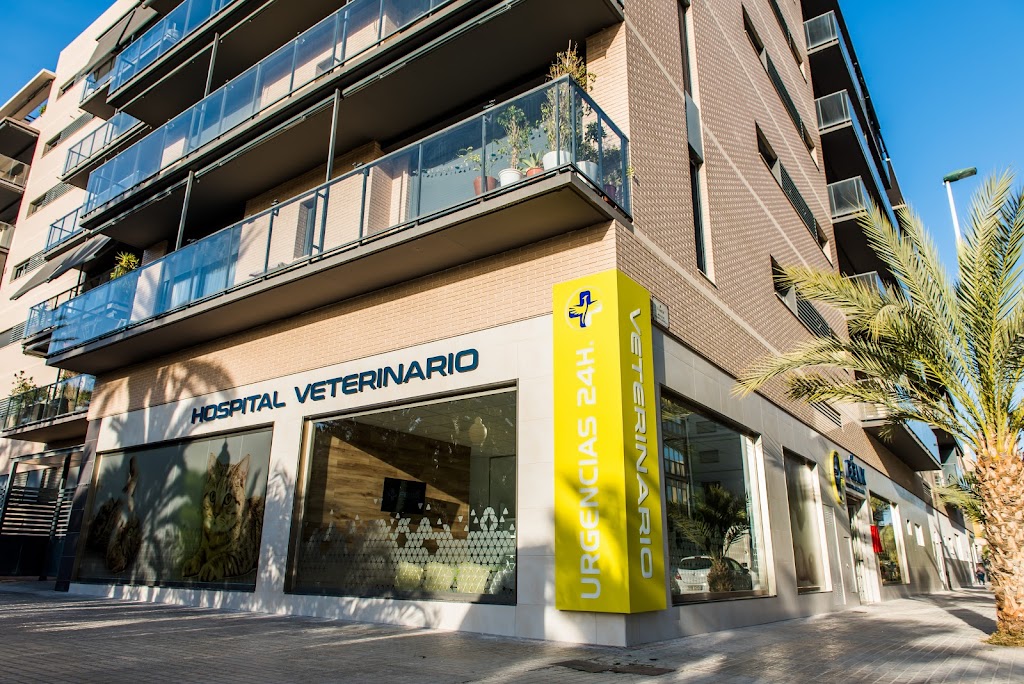 Fenix Hospital Veterinario 24H - Alicante
