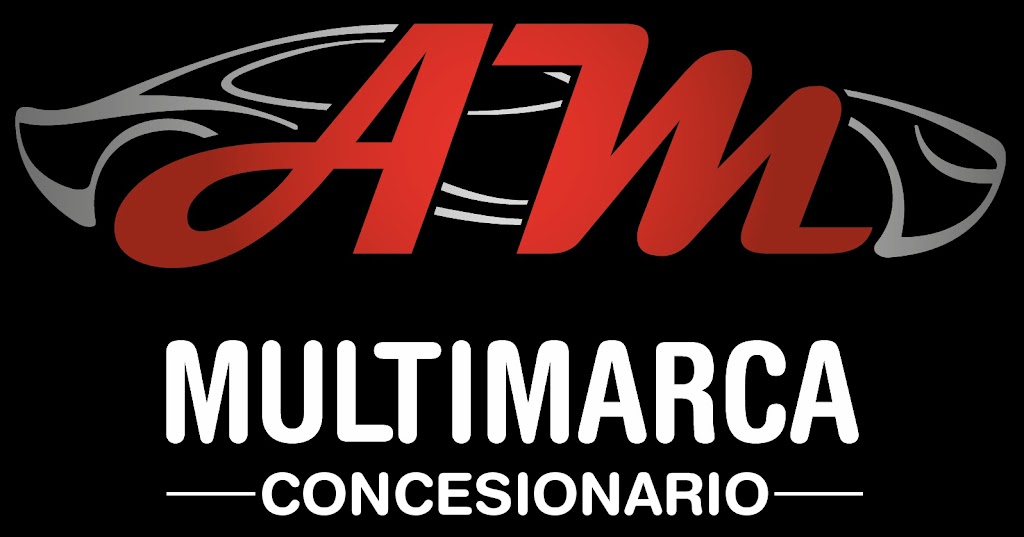 AM MULTIMARCA CONCESIONARIO — Del propietario
