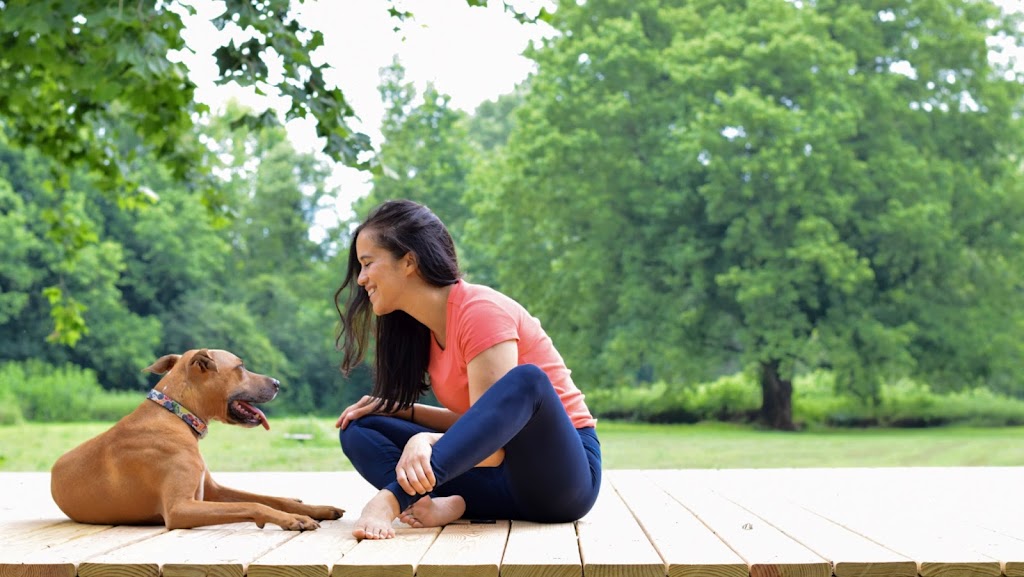  Yoga On The Meadow