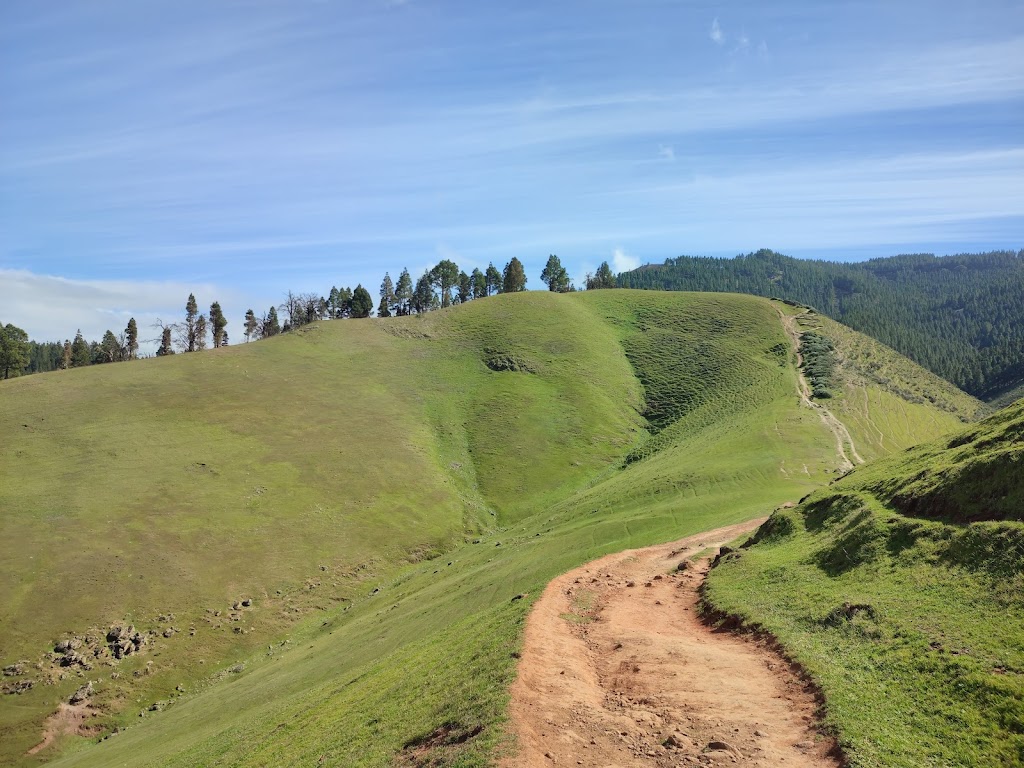 Monte Pavon sendero
