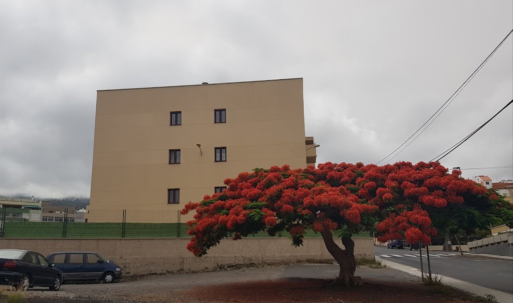 Guardia Civil de Guimar