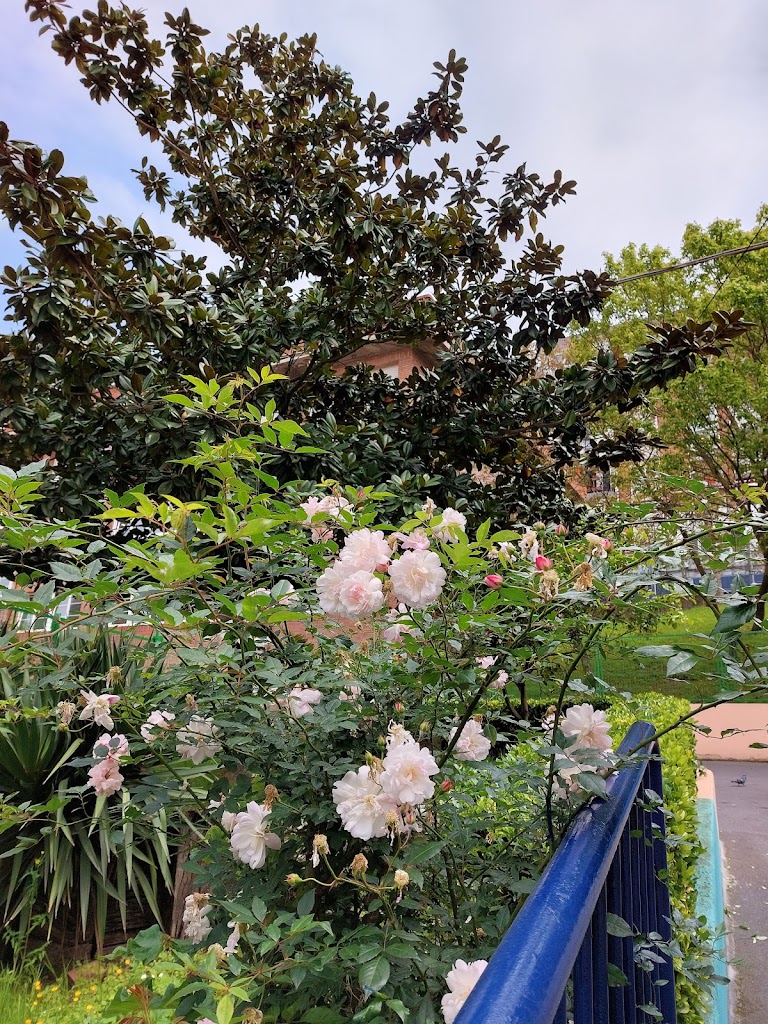 Colegio Publico Maestro Zubeldia