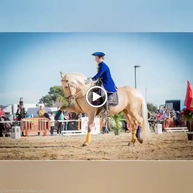 Centro Hipico Benicarlo — Videos