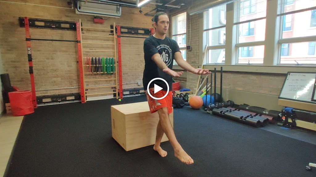  Chicago Movement Gym