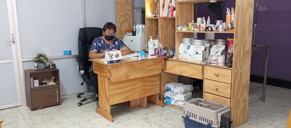 Servicios Veterinarios Luna y Rocky — Del propietario