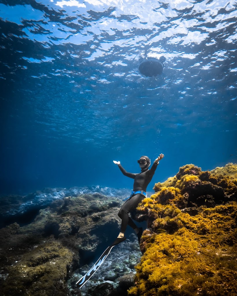 Oceanica Freediving courses Freediving excursions