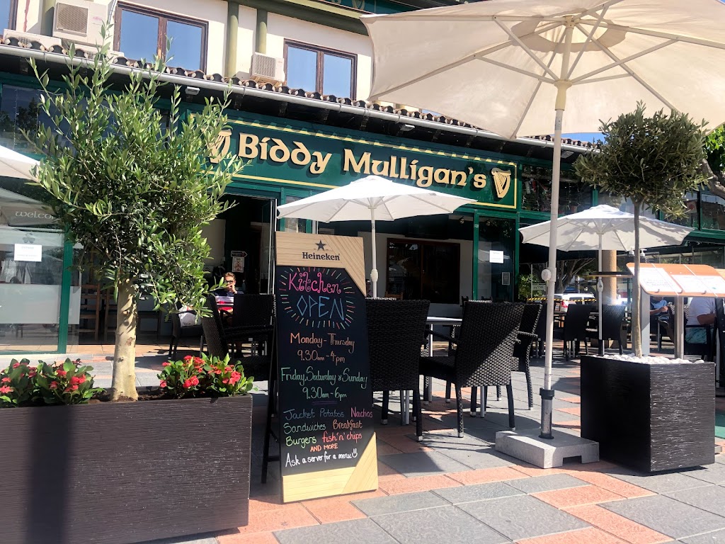 Biddy Mulligan's Irish Pub