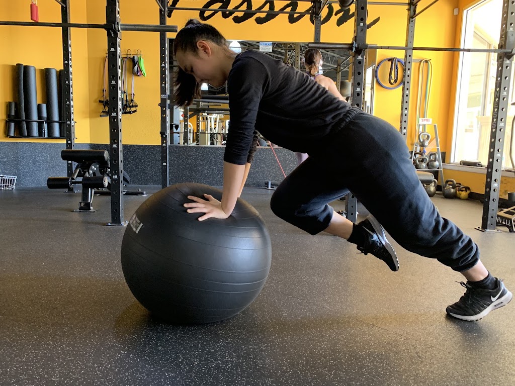  Ula Meyer Fitness & Performance In Person & Online Coaching