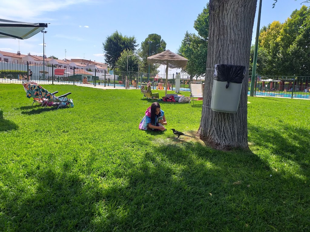 Piscina Publica Municipal