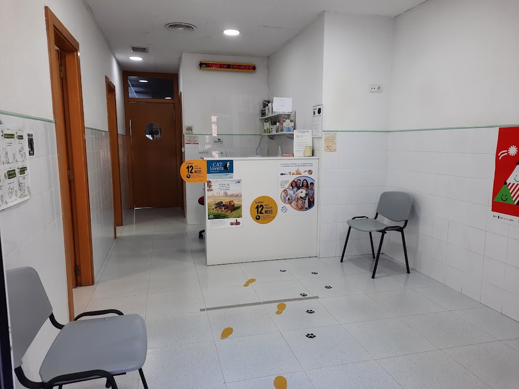 Clinica veterinaria Insarovet — Del propietario