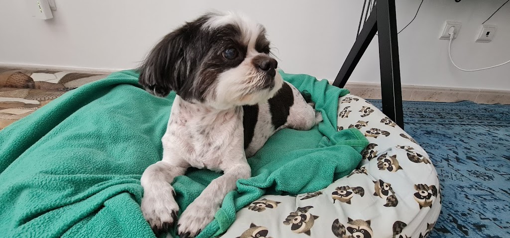Foto da avaliação