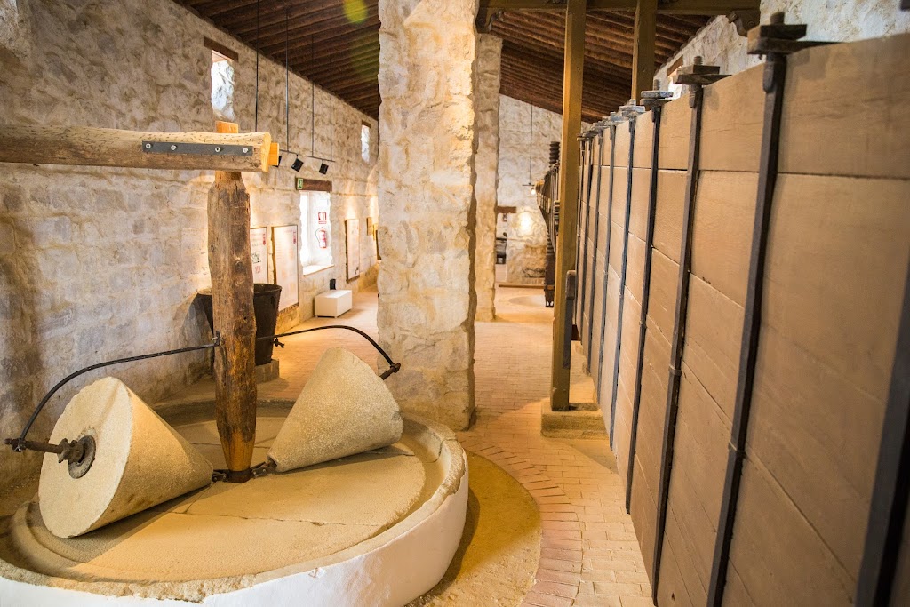 Museo de la Cultura del Olivo - Oleoturismo - Cata de Aceites