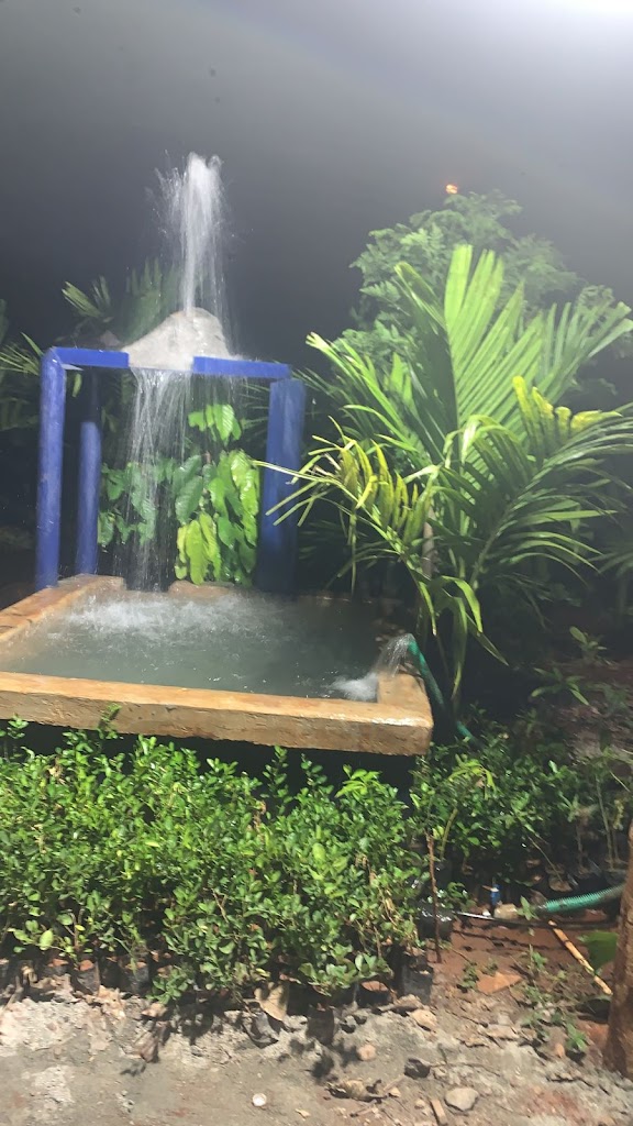 Jungle Hut