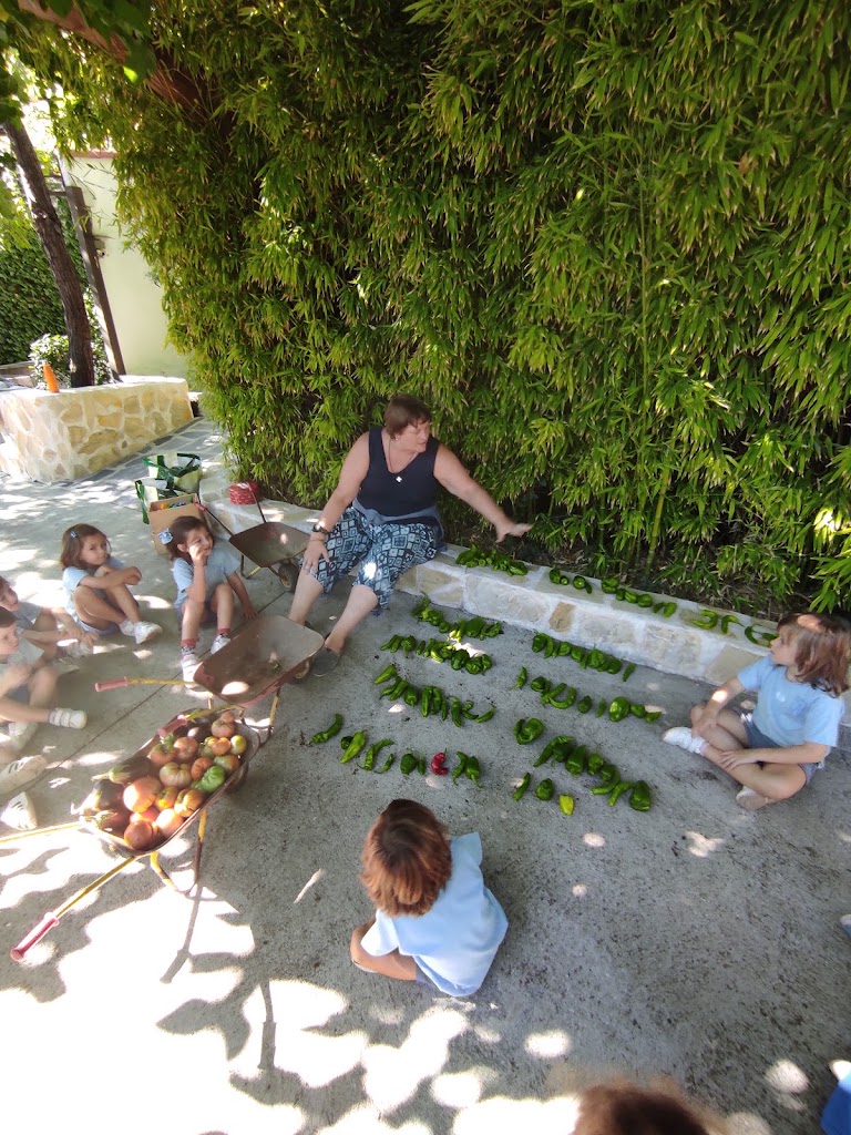 Centro Privado De Educacion Infantil Mi Pequena Granja — Del propietario