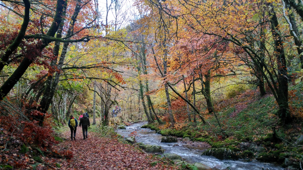 ASOCIACION DE ECOTURISMO EN ESPANA