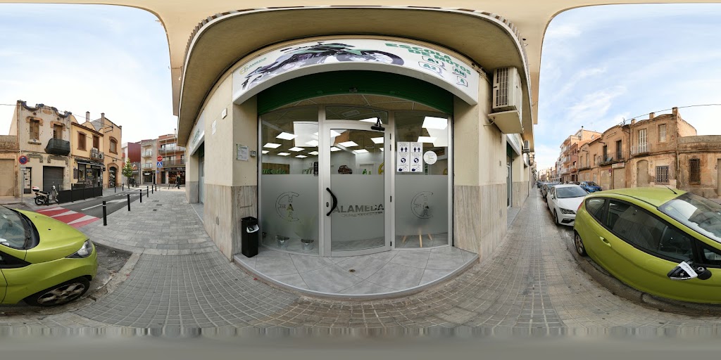 Autoescola Alameda — Automovil