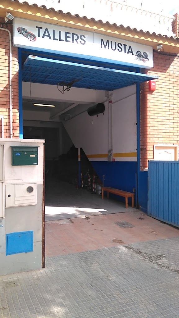 Taller musta — Exterior